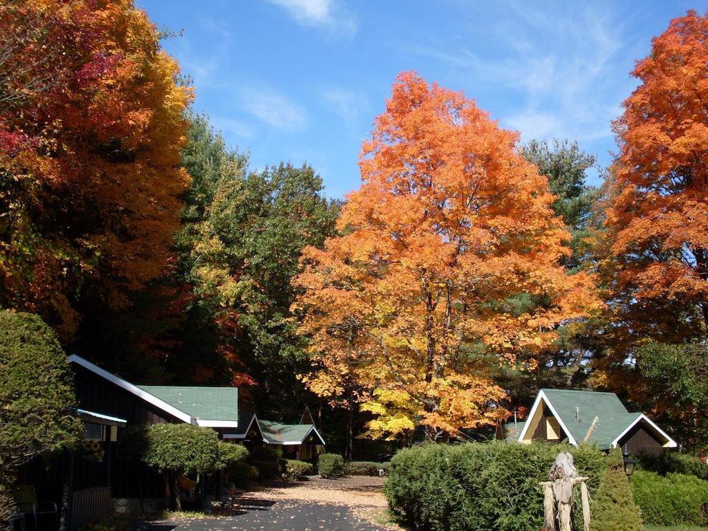 Amber Lantern Two-Bedroom Cottage Lake George Kamer foto