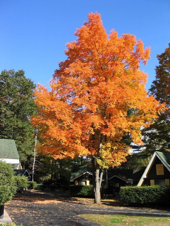 Amber Lantern Two-Bedroom Cottage Lake George Kamer foto
